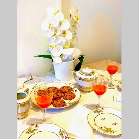 Orchidee- New 3p-luxe-central-clim-wifi-1min Beach 公寓 *