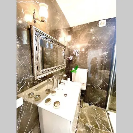 公寓 Orchidee- New 3p-luxe-central-clim-wifi-1min Beach 尼斯